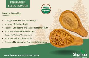 Ayurveda Methi Powder