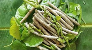 Ayurveda Neem Giloy Powder