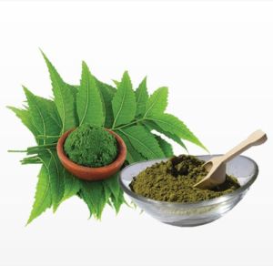 Ayurveda  Neem Leaf Powder