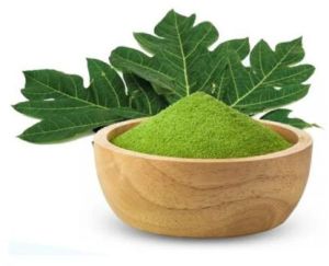 Ayurveda Papaya Leaf Powder