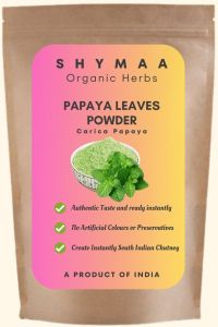 Ayurveda Pudina Mint Powder