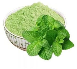 Ayurveda Pudina Mint Powder