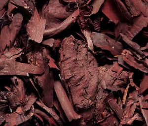 Ayurveda Ratanjot Powder