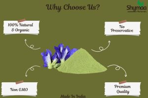 Ayurveda Shankhpushpi Powder