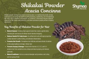 Ayurveda Shikakai Powder