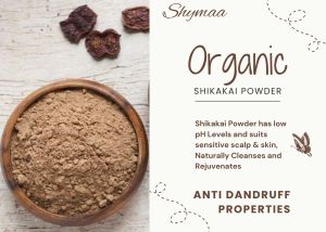Ayurveda Shikakai Powder