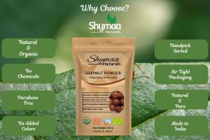 Ayurveda Soapnut Shell Powder