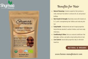 Ayurveda Soapnut Shell Powder