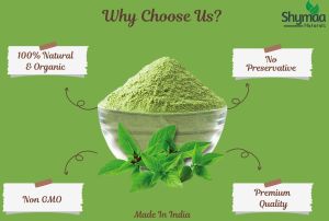 Ayurveda Tulsi Powder