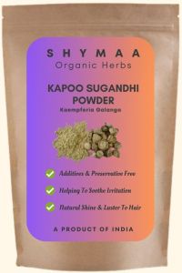 Ayurvedic Kapoor Sugandhi Powder