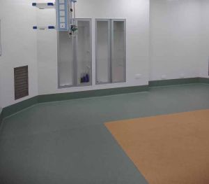 Antibacterial Vinyl Flooring Service
