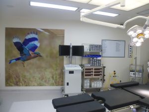 Modular Operation Theatre