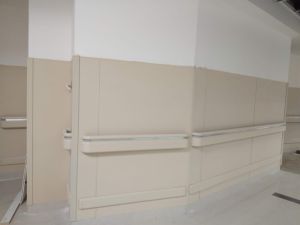 Safe Guard Handrail