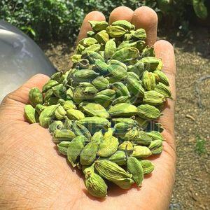 8mm Premium Green Cardamom