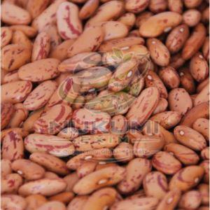 A Grade Chitra Rajma