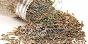 A Grade Dried Cumin Seeds