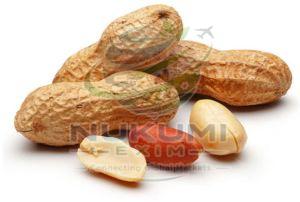 A Grade Raw Groundnuts with Shell