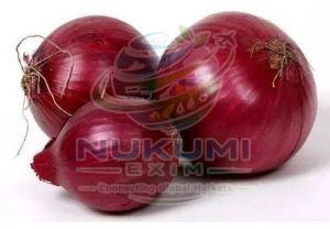 A Grade Red Onion