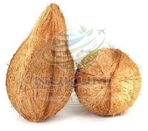 A Grade Semi Husked Coconut