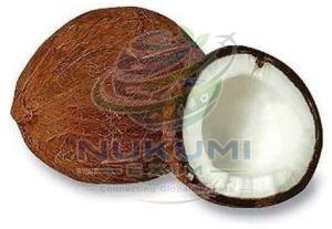 A Grade Semi Husked Coconut