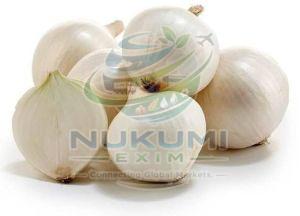 A Grade White Onion