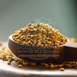 Dried Fenugreek Seed