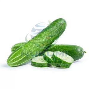 Fresh Desi Cucumber