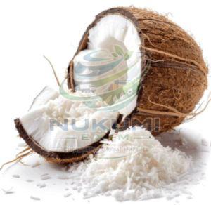 Raw Coconut Flakes
