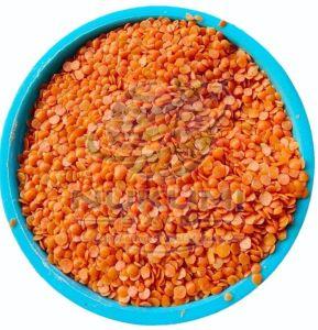 Red Split Masoor Dal