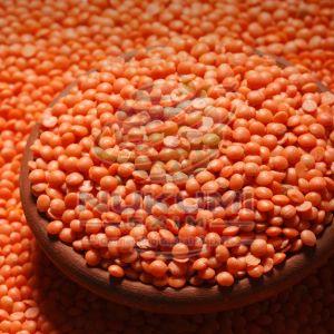 Red Whole Masoor Dal