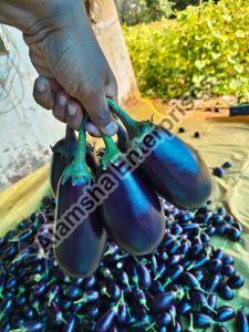 Brinjal