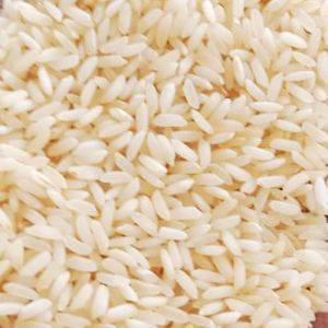 Golden Masoori Steam Non Basmati Rice