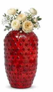 Ruby Antique Iron Vase