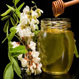 Acacia Honey
