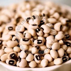 Black Eyed Beans