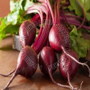 Fresh Beetroot
