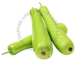 Fresh Bottle Gourd