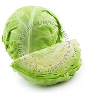 Fresh Cabbage