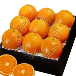 Fresh Orange