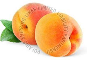 Fresh Peach