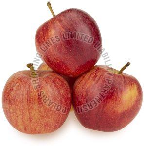 Fresh Red Apple