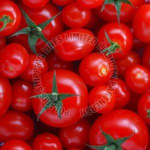 Fresh Tomato