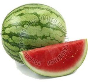 Fresh Watermelon