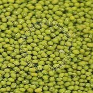 Mung Beans