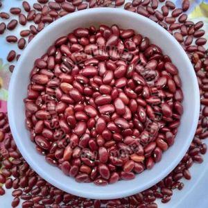 Red Kidney Beans
