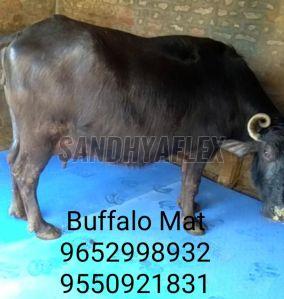 Buffalo Mats
