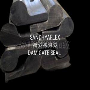 Dam Construciton Bottom Dam Gate Seal
