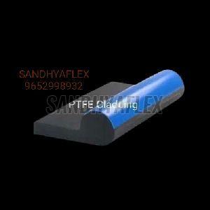 Dam Construcion Hollow Dam Gate Seal