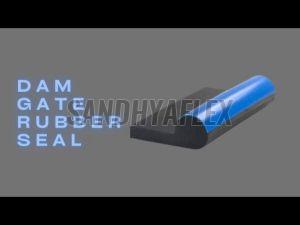 Dam Gate Seals Construction