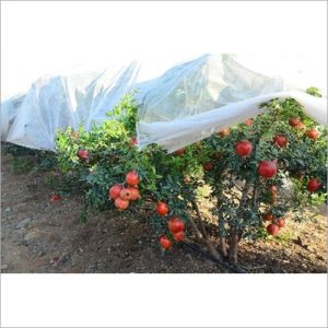 Agriculture Crop Cover